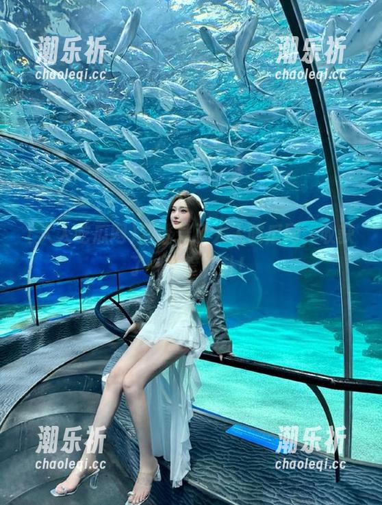 我登录了人人吃瓜网，收获了一箩筐八卦！