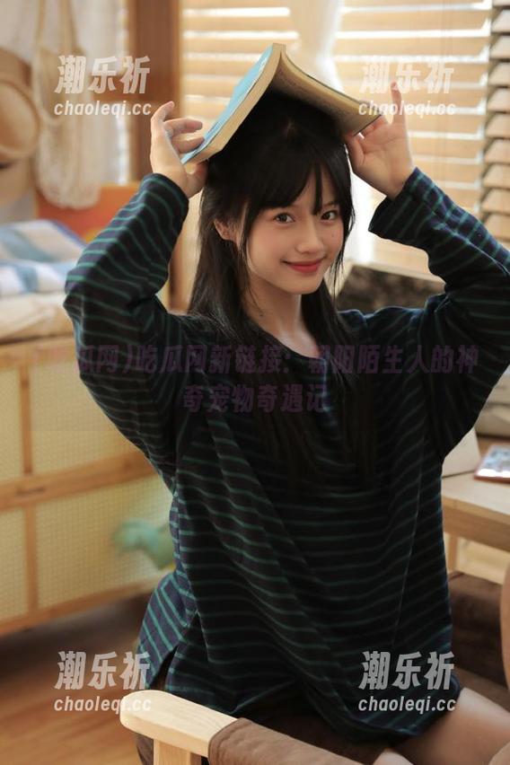 吃瓜网新链接：朝阳陌生人的神奇宠物奇遇记