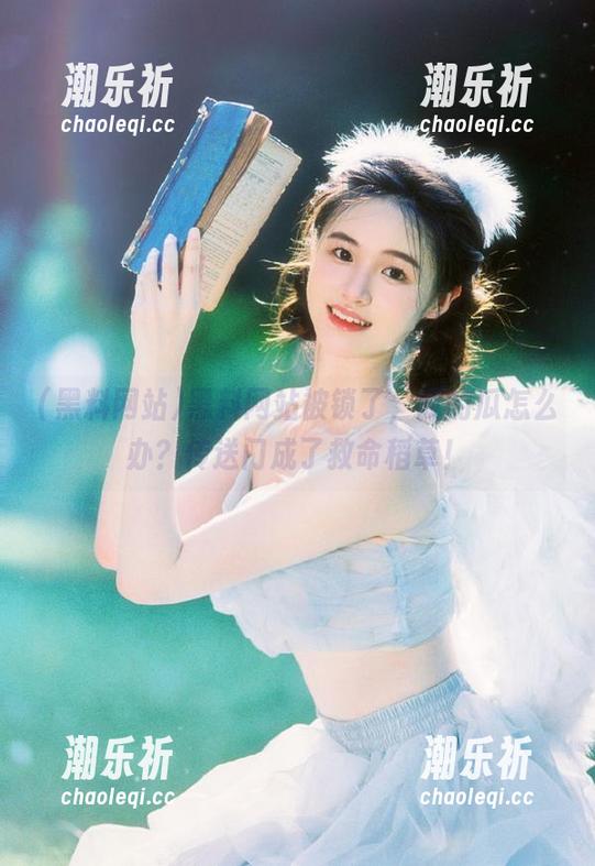 黑料网站被锁了，我的瓜怎么办？传送门成了救命稻草！